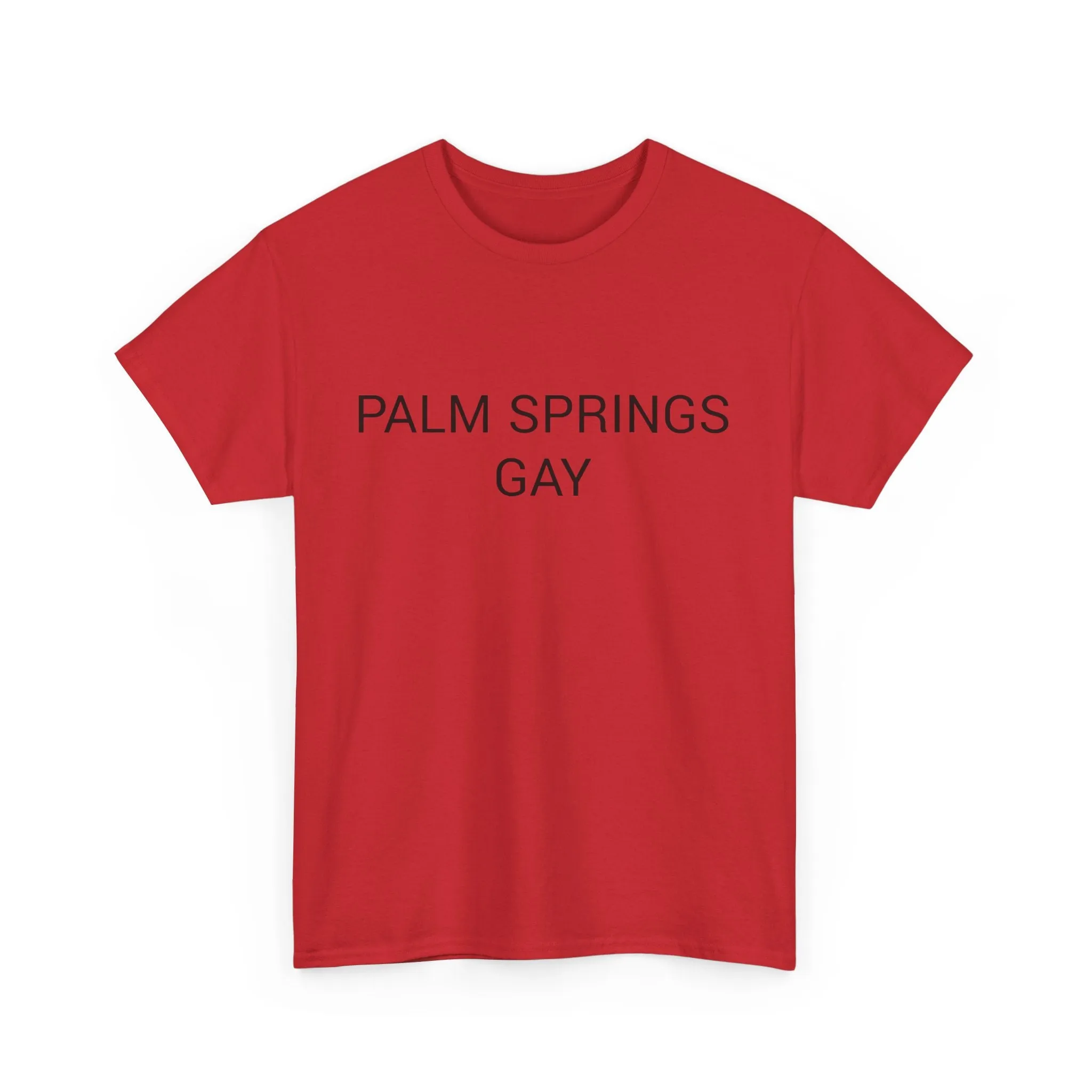 PALM SPRINGS GAY TEE BY CULTUREEDIT AVAILABLE IN 13 COLORS