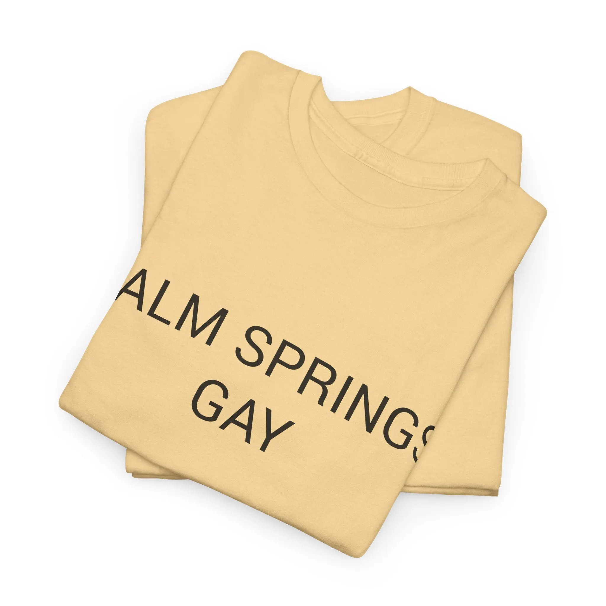 PALM SPRINGS GAY TEE BY CULTUREEDIT AVAILABLE IN 13 COLORS