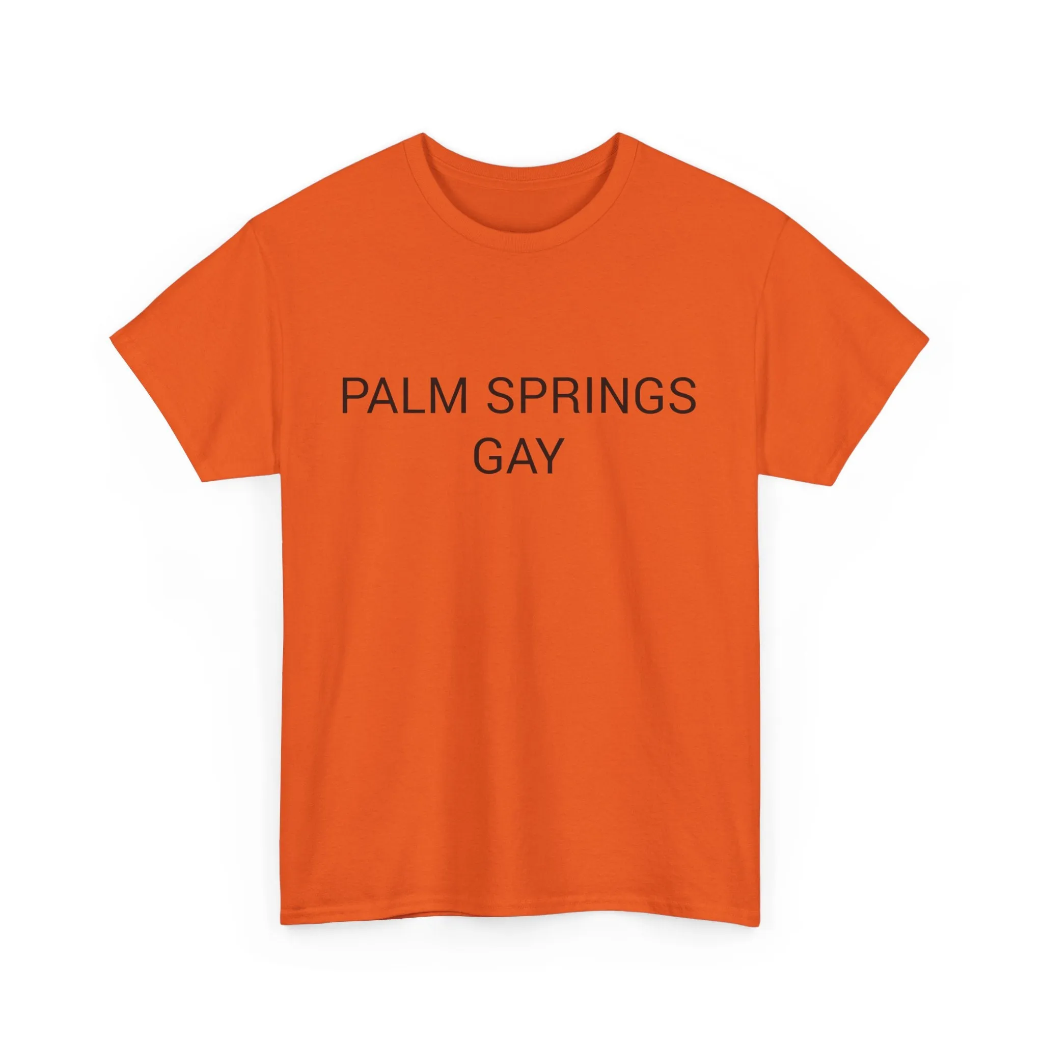 PALM SPRINGS GAY TEE BY CULTUREEDIT AVAILABLE IN 13 COLORS