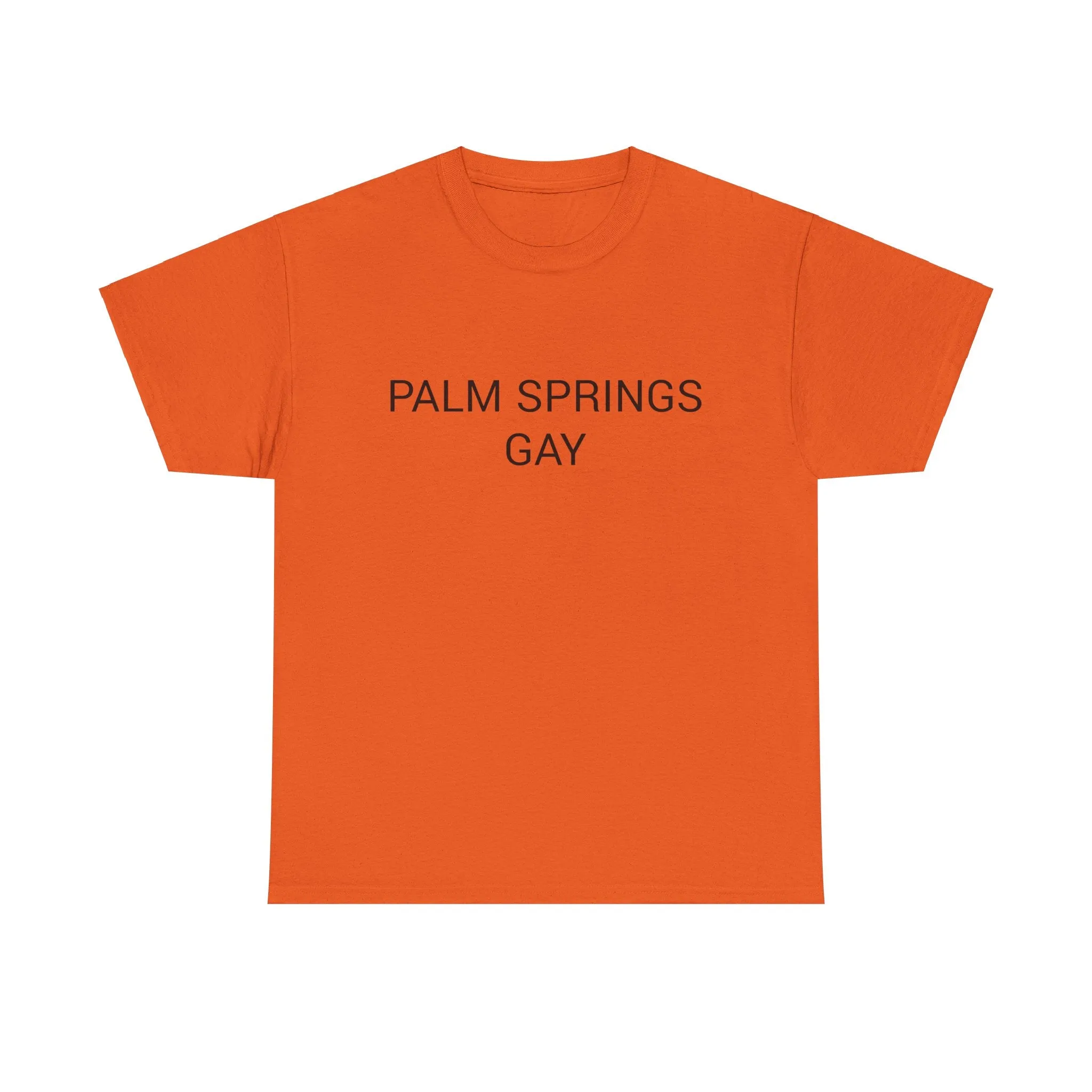 PALM SPRINGS GAY TEE BY CULTUREEDIT AVAILABLE IN 13 COLORS