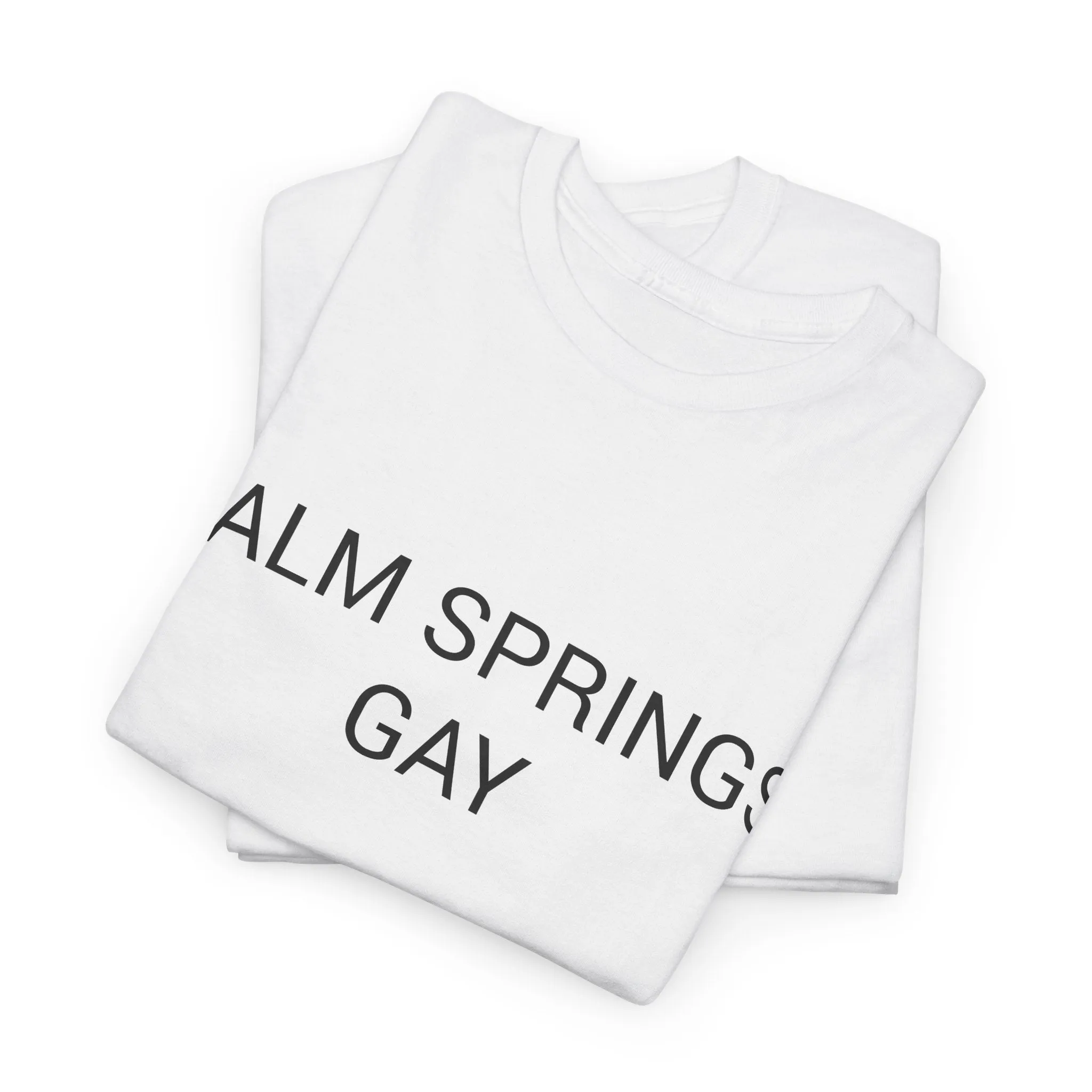 PALM SPRINGS GAY TEE BY CULTUREEDIT AVAILABLE IN 13 COLORS