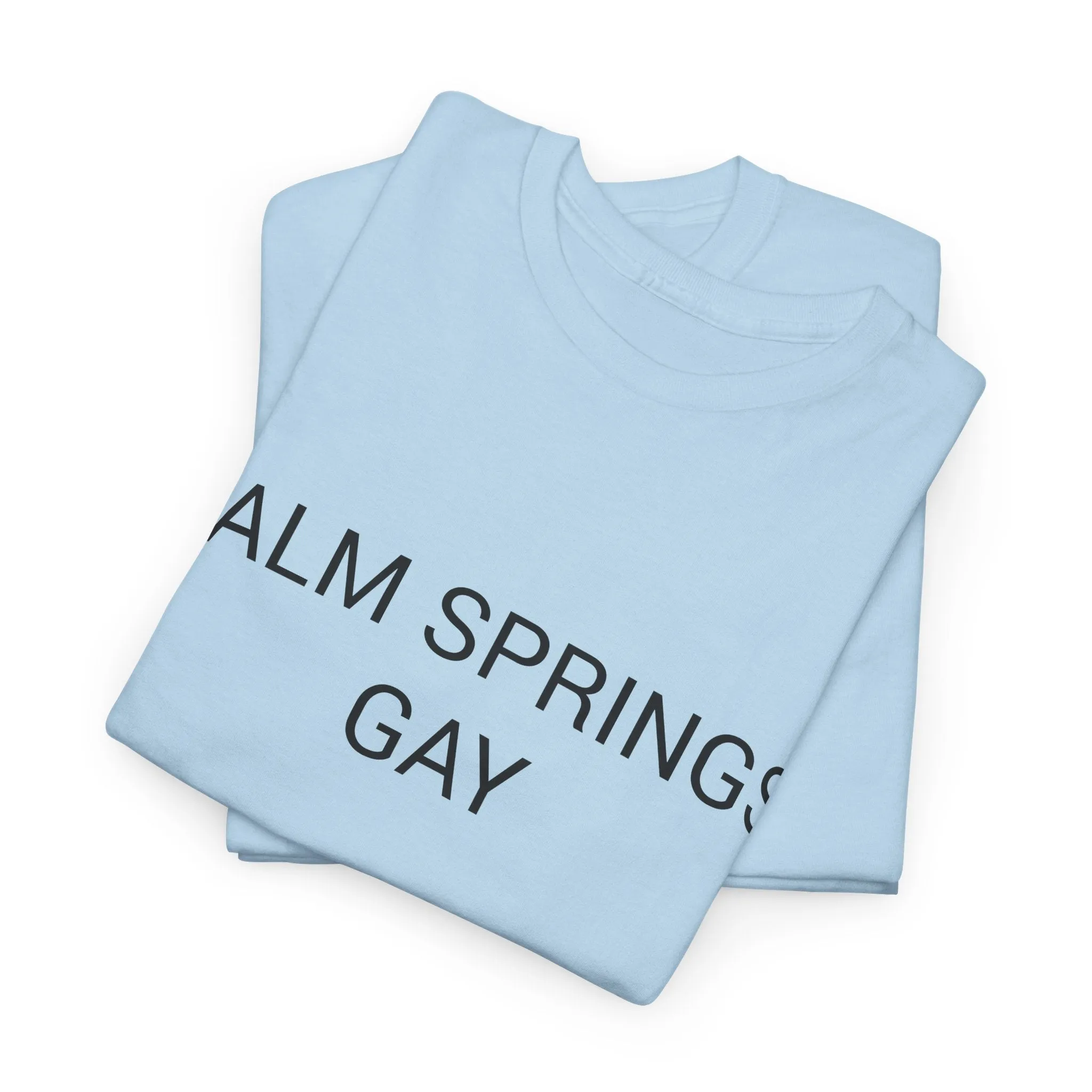 PALM SPRINGS GAY TEE BY CULTUREEDIT AVAILABLE IN 13 COLORS