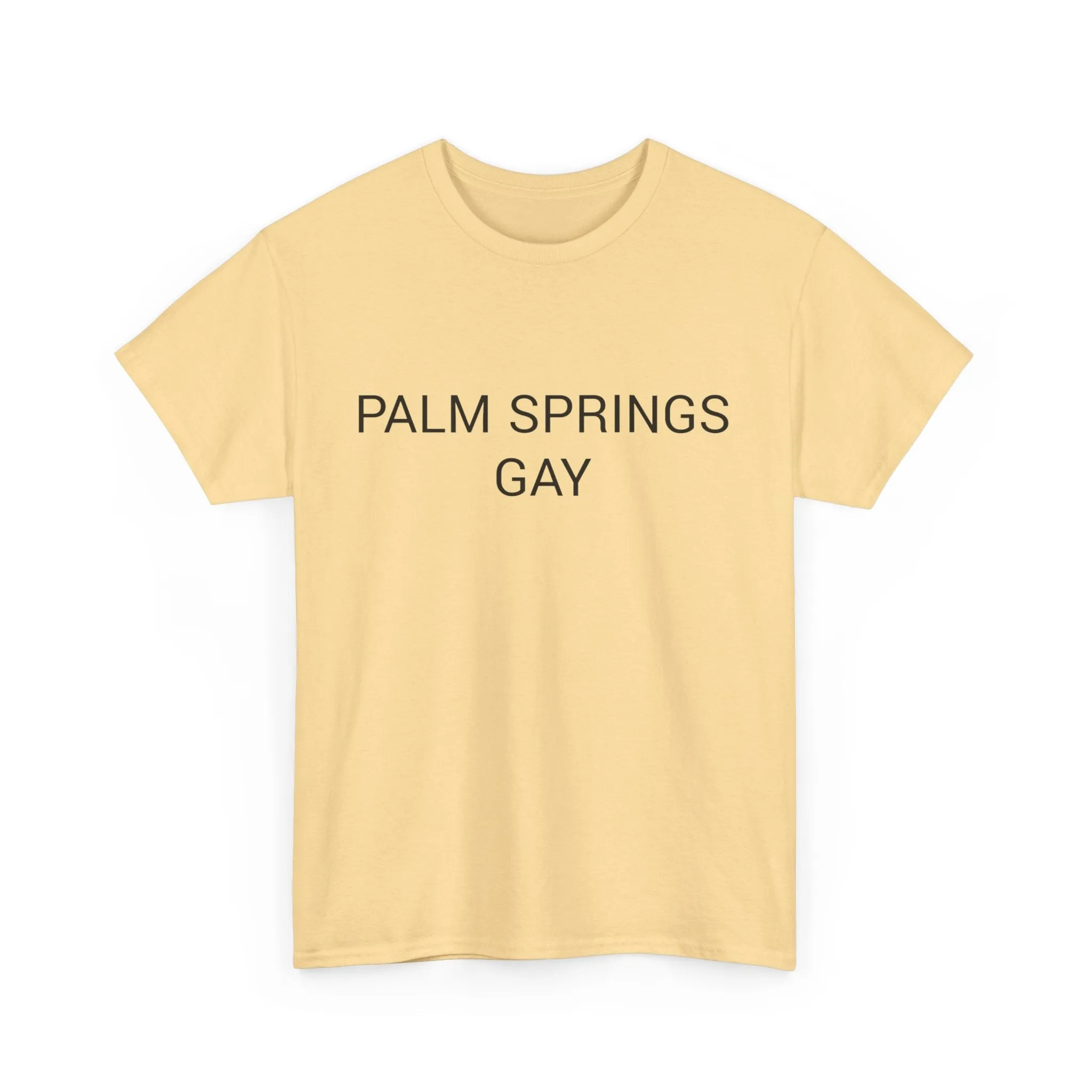 PALM SPRINGS GAY TEE BY CULTUREEDIT AVAILABLE IN 13 COLORS