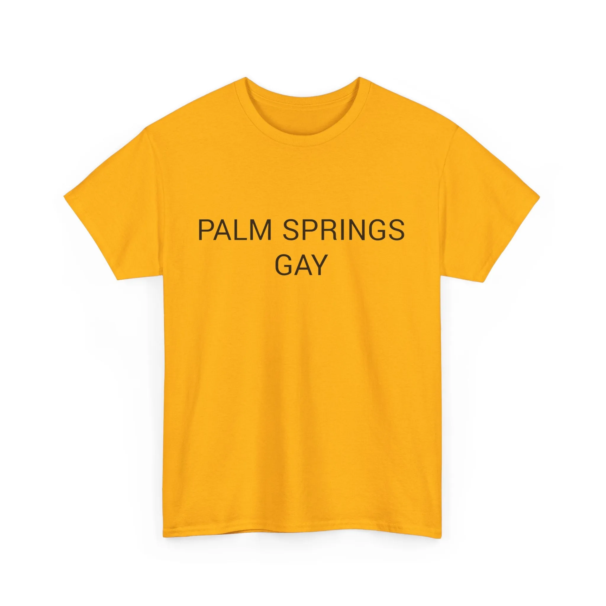 PALM SPRINGS GAY TEE BY CULTUREEDIT AVAILABLE IN 13 COLORS