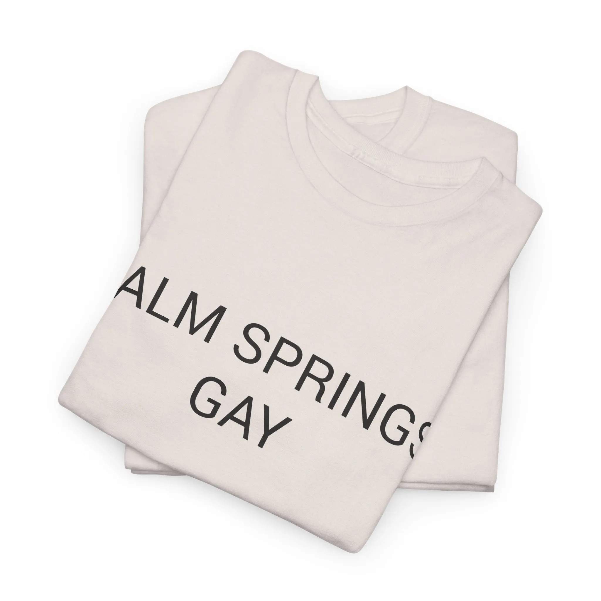 PALM SPRINGS GAY TEE BY CULTUREEDIT AVAILABLE IN 13 COLORS