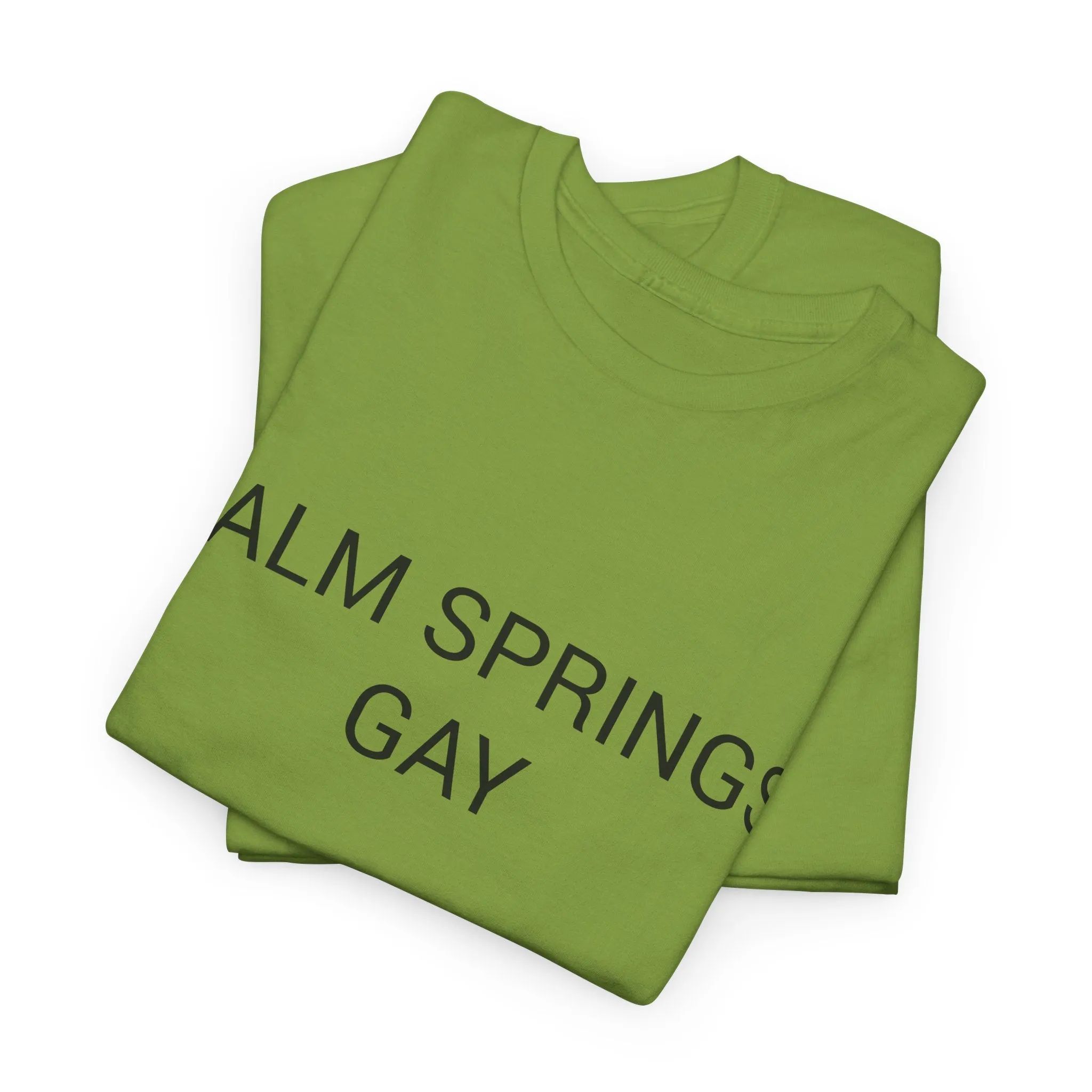 PALM SPRINGS GAY TEE BY CULTUREEDIT AVAILABLE IN 13 COLORS