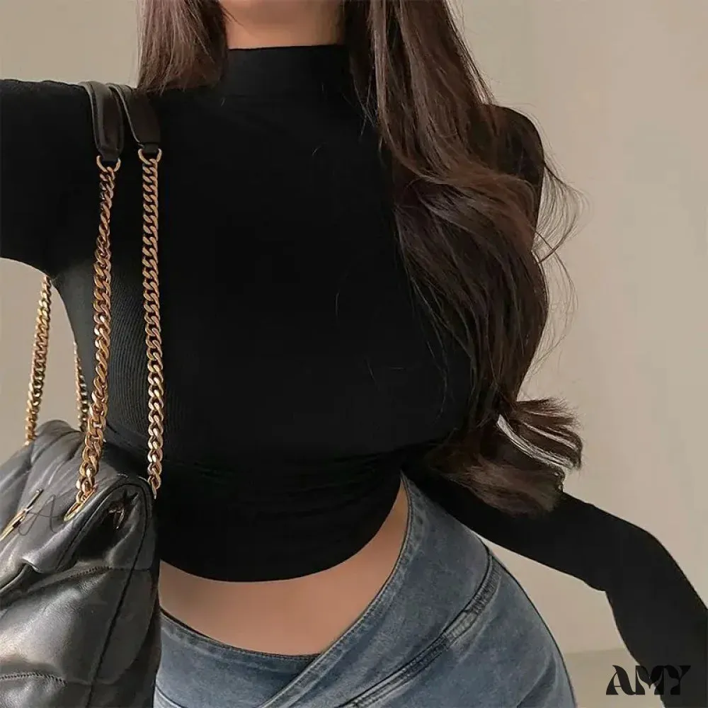 Simple Long Sleeve Slim Fit Short Half High Neck Solid Color Crop Top