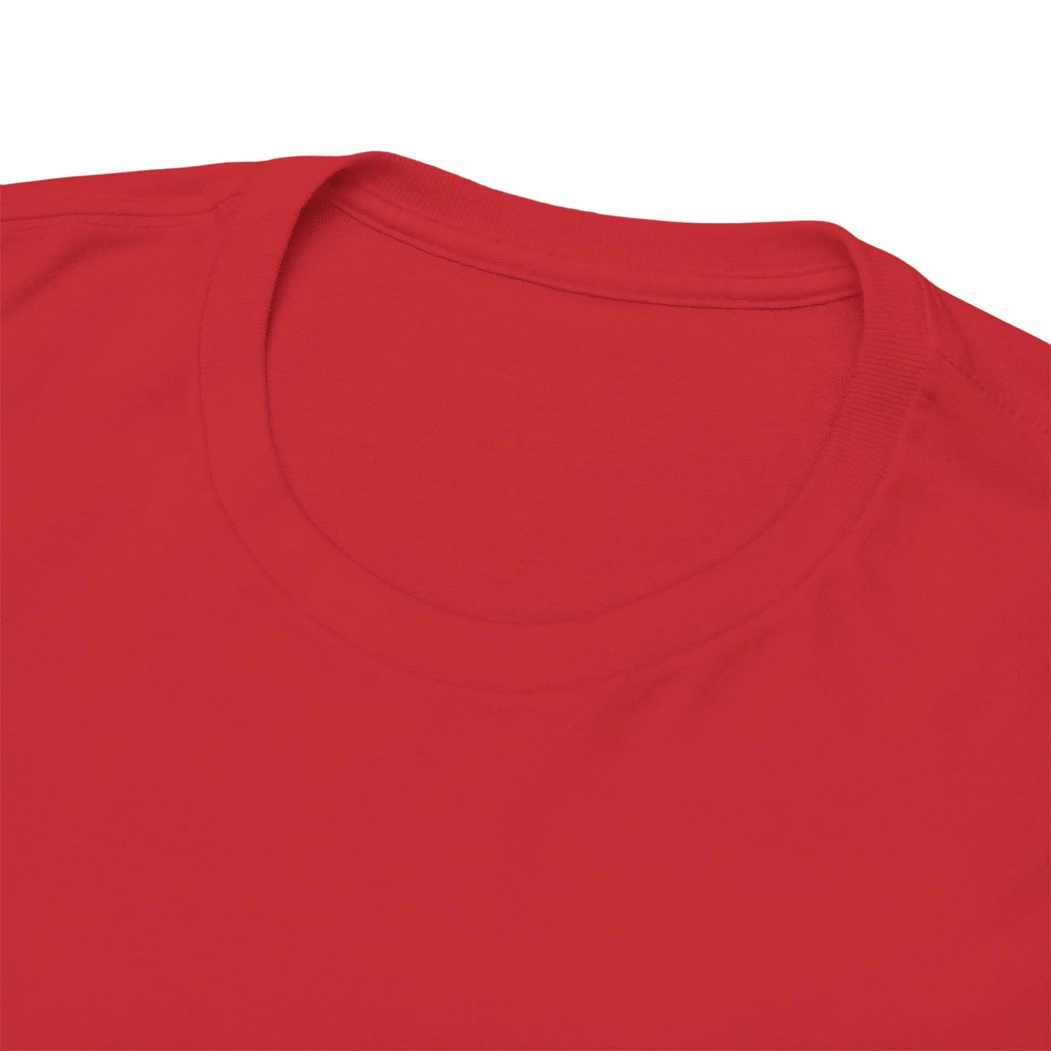 VIRGIN-ISH TEE BY CULTUREEDIT AVAILABLE IN 13 COLORS